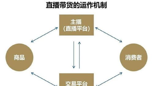 精準抓取客戶資源與多樣化引流 網(wǎng)絡(luò)技術(shù)服務(wù)中的產(chǎn)品延伸策略